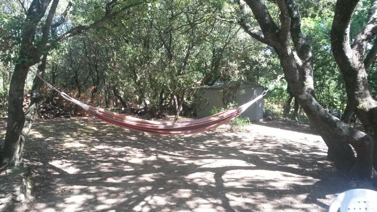 La Casita Villa Avec Piscine Pres D'Uzes Saint-Laurent-la-Vernede Екстер'єр фото